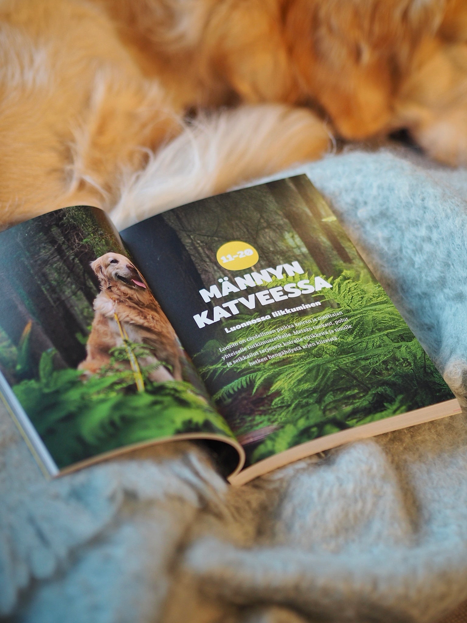 100 elämystä koiran kanssa (signeerattu)