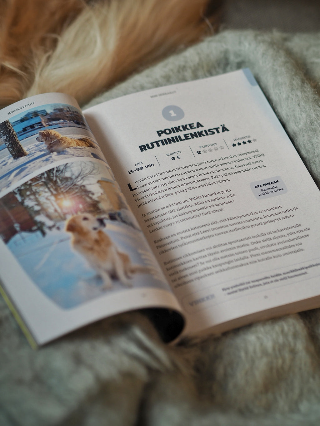 100 elämystä koiran kanssa (signeerattu)