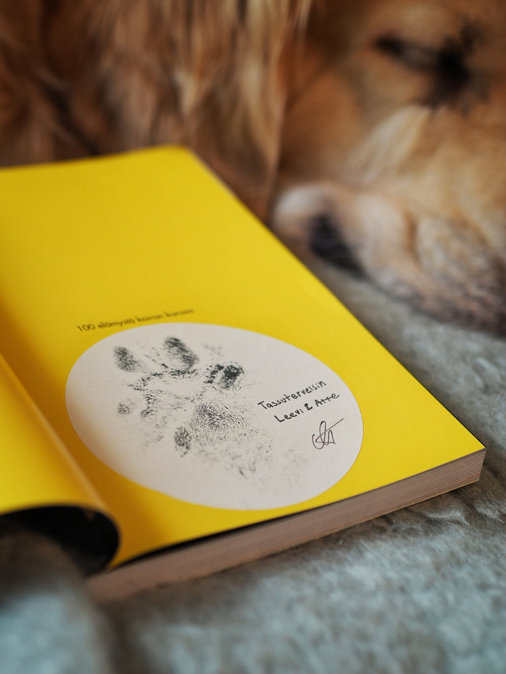 100 elämystä koiran kanssa (signeerattu)