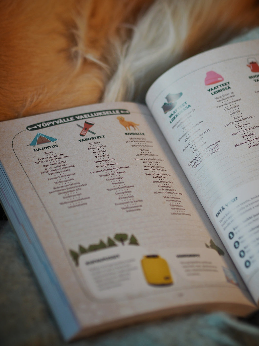 100 elämystä koiran kanssa (signeerattu)