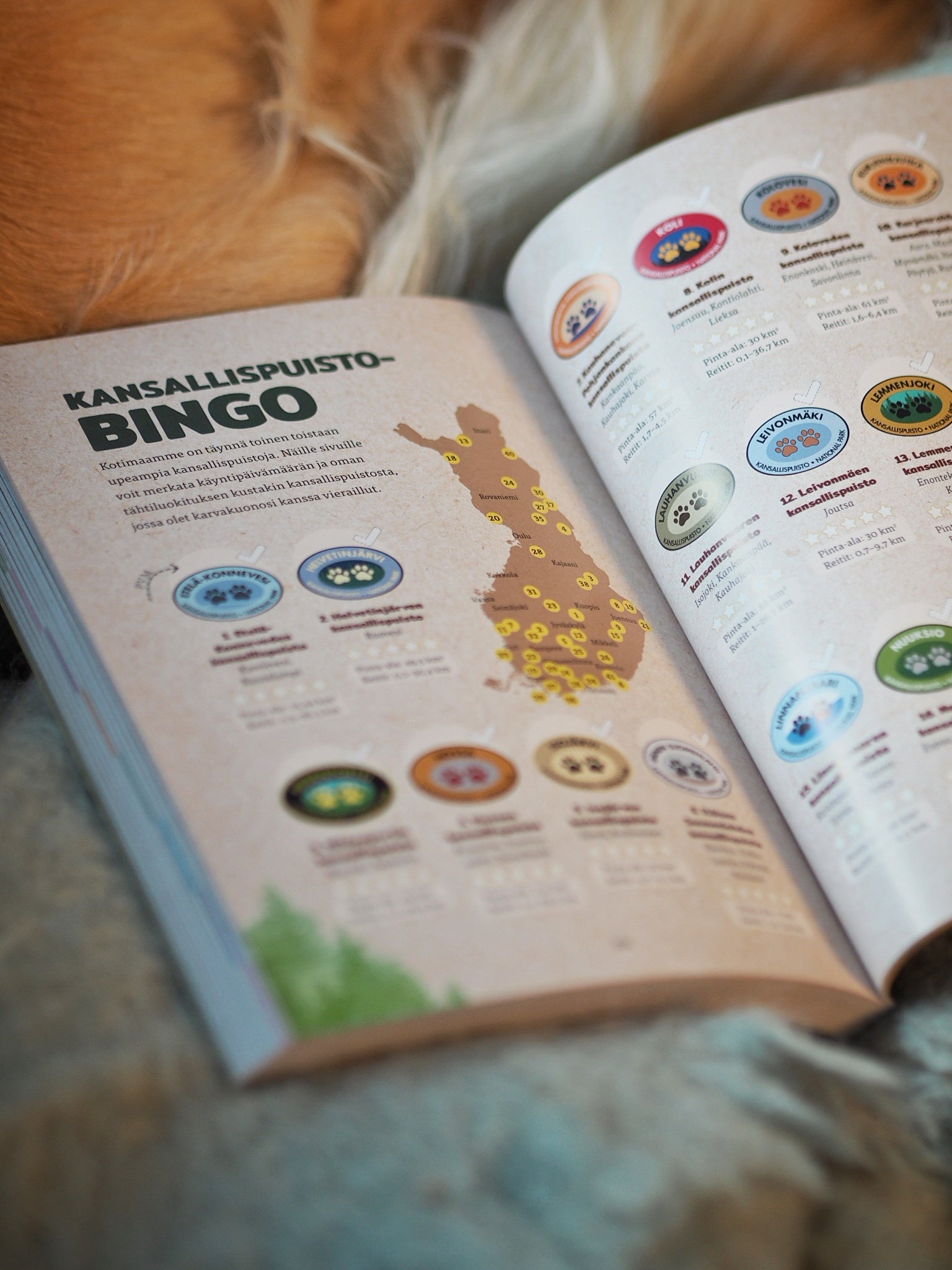 100 elämystä koiran kanssa (signeerattu)